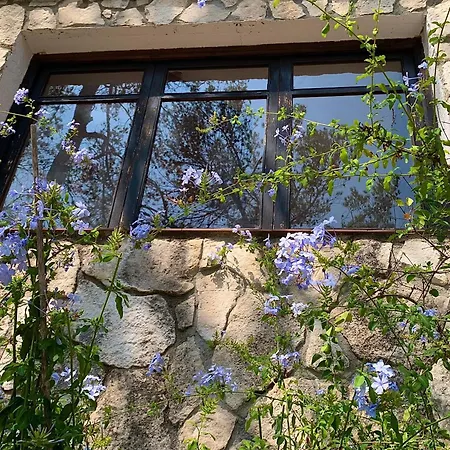 La Casita Del Bosque Sant Pere De Ribes