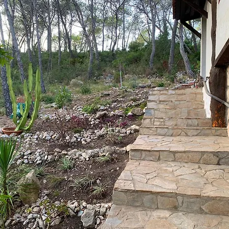 Apartment La Casita Del Bosque